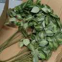 HyeFlora 5PCS Artificial Eucalyptus Leaves Stem Plants for Spring Decor, 32.7 inch Fake Leaves Greenery Branches Green Shrubs Silk Faux Foliage DIY Stems for Festival Home Kitchen Farmhouse(Green)