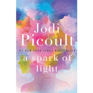 A Spark of Light: A Novel