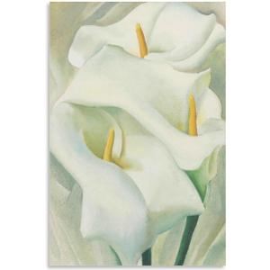 Georgia O'Keeffe Calla Lilies Modernist Abstract Art Painting On Canvas Wall Art Poster Scroll Picture Print Living Room Walls Decor Home Posters 20x30inch(50x75cm) (30L" x 20W", Unframe-style-17)