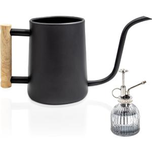 Watering can Indoor Plants,Indoor Watering Can for Plant,35 oz/1000 ml Stainless Steel Watering can Long Spout with Small Vintage Glass Plant Spray Bottle(Black)