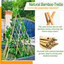 4ft Expandable Bamboo Teepee Trellis for Climbing Plants, Self-Standing Natural Bamboo Trellis for Plant Support, Folding Garden Trellis for Vines Flowers Vegetable Indoor Outdoor, 47.4"