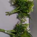 Rinlong Baby's Breath Bridesmaid Bouquet for Wedding, Prom, Homecoming
White Green Silk Bridal Bouquet, Destination Friendly 2 Pieces