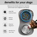 YINEYA 3 in 1 Slow Feeder Dog Bowls & Stainless Steel Food and Water Bowl with Non-Spill Dog Bowl Mat, Anti-Choking Puppy Bowls, Floor Safe & Easy Clean for Large Medium Small Dogs Cats
