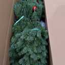 National Tree Company 7.5 ft Pre-Lit Downswept Douglas Fir Artificial Christmas Tree, 750 LED Lights, PowerConnect, Foot Pedal, 10 Light Functions, 1,867 Tips, Includes Stand, Green