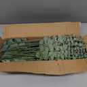 lovemoon 130 Pcs Artificial Mixed Eucalyptus Stems Bulk, 5 Kinds of Faux Greenery Eucalyptus Leaves Bulk for Vase Wedding DIY Bouquets Floral Arrangement Home Decor (130, Green)