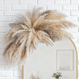 Fluffy Boho Wall Decor - DIY Pampas Grass Kits,Need to Assemble,Decorative Pampas Cloud,Mirror Decorative,for Entryway Bedroom Living Room Bathroom House Warming Gifts New Home Essential (Large)
