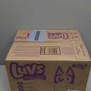 Luvs Size 1 Baby Diapers, Platinum Protection Bluey Diapers for Day & Night, Size 1, 294 Count