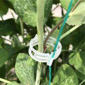 Piteno 300Pcs Tomato Clips, Plastic Trellis Clips, Plant Support Clips, Grape Vine Tomato Vine Vegetables Plants Garden Support Clips to Grow Upright Makes Plants Healthier (Translucent)