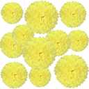20 PCS Light Yellow Tissue Paper Pom Poms, Tissue Pom Poms Flowers, Sizes of 6", 10", 12", 14" Hanging Paper Flower Ball for Wedding, Birthday, Halloween, Christmas, Baby Shower Party Decor