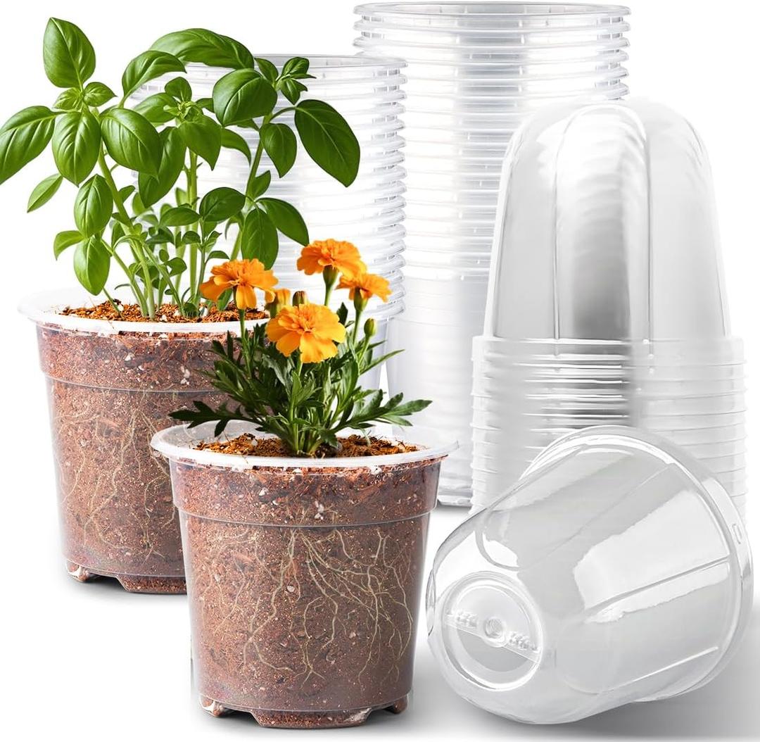 RooTrimmer 6 Inch Clear Nursery Pots with Humidity Dome, 30 Pack Reusable Seed Starter Pot with Drainage Holes, Transparent Plastic Plant Seedling Pots for Propagation Indoor Plants Outdoor Gardening