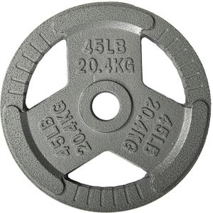 Fitvids Cast Iron Plate Weight Plate for Strength Training and Weightlifting, 2-Inch Center, 45LB (Single)