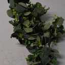 MAKHOT 5.9FT Eucalyptus Garland, Artificial Greenery Garland Flower, Green SpringGarland Wreath Vines Decorations, Fake Silver Dollar Eucalyptus Leaves Vines for Table Home Wedding Mantle Party Decor