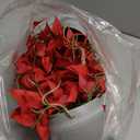 Christmas Hanging Plant, Fake Plants with Pots, 2 Pack Winter Artificial Plants, Faux Anthurium Leaf Basket for Wall Home Room Indoor Outdoor Decor (Red)