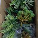 Anoak Artificial Succulent Plants - 16 Pcs Set Faux Succulents Unpotted Fake Succulent Plants, Premium Crafting DIY Floral Decor for Home Garden Office Party (High Realistic)