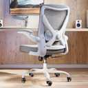 Ergonomic Office Chair with Lumbar Support - Adjustable Computer Desk Chairs for Home Office, Gaming, and Work - Comfortable and Supportive Desk Chairs for Adults(Grey)