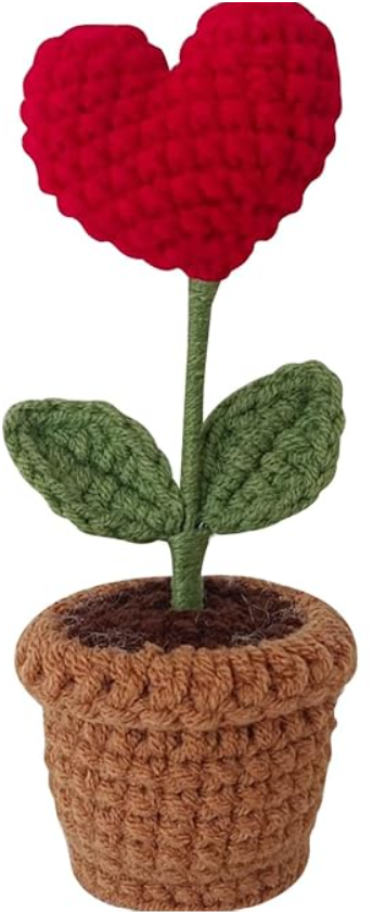 20 piece valentines Day gift