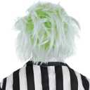 Party City Beetlejuice Wig Costume Accessory for Adults - Costume Includes Wacky Wig with Green & Gray Hair Color - Costumes for Halloween, Birthday Parties, & Themed Events