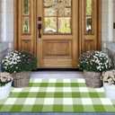 2x4 Outdoor Rug,Green and White Buffalo Plaid Rug Cotton Woven Machine Washable Outdoor Front Door Mat for Indoor Outdoor Front Porch,Entryway,Entrance