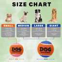 2 x AMA SPORT Squeaky Tennis Balls for Dogs 2.0" Small Dog Tennis Balls for Throwing and Fetching Dog Toys for Training, Exercise, High Bouncing 4 Pack (Orange Yellow)