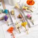 10 Pcs Mini Dried Flowers Bouquet Natural Gypsophila Don't Forget Me Dried Flowers Bouquet Plant Stem Bunch for DIY Craft Card Photo Props Vase Wedding Decor(Colorful)