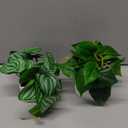 Der Rose 2 Pack Fake Plants Artificial Tropical Faux Plants Indoor for Office Desk Home Sage Green Decor Small