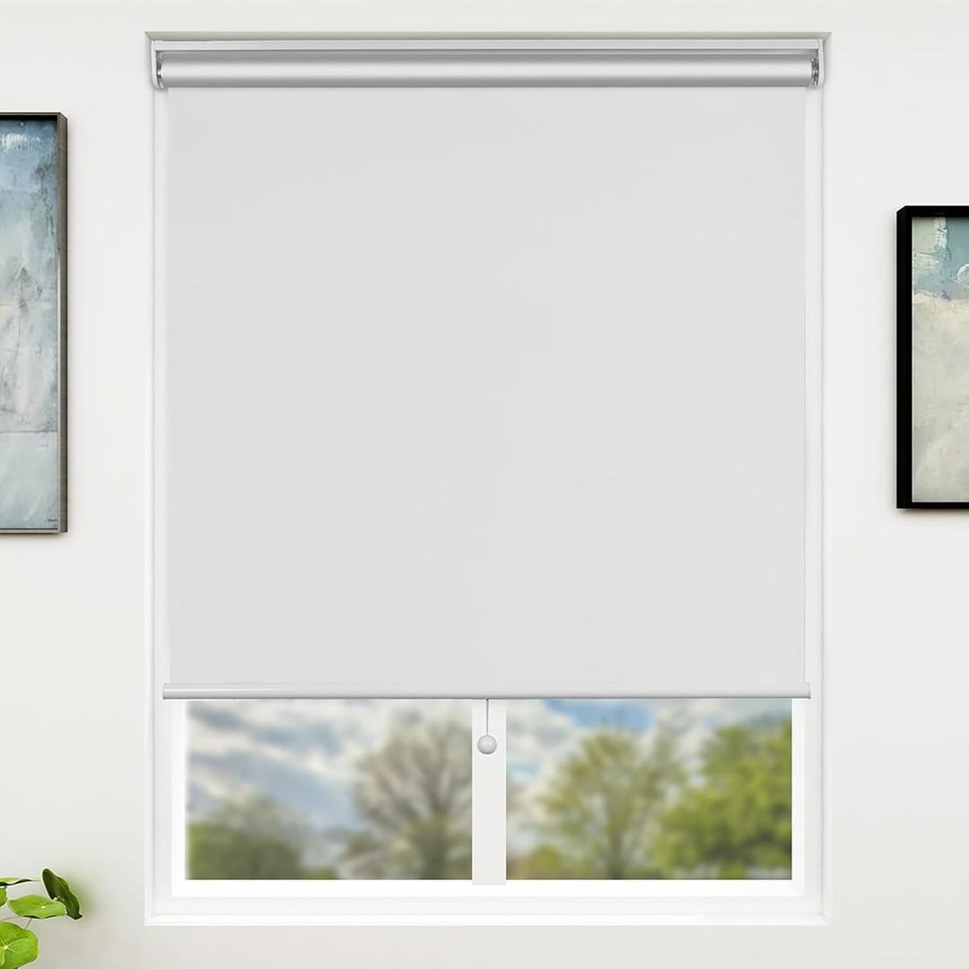 Sunfree Blackout Roller Shades Window Shades Cordless Blackout Window Blinds with Thermal Insulated for Bedroom,Office,48" W x 72" H,White