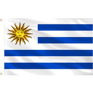 AhfuLife Uruguay Flag 5ft x 3ft for Party Decorations, 1Pcs Uruguayan Flag Double Side with Brass Eyelets for World Cup Football National Day Garden Street Party Decor (Uruguay, 150 x 90 cm - 1 Pcs)