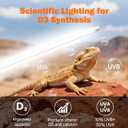 T5 UVB Reptile Light Fixture Combo Kit 24W: 10.0 UVB Light for Reptiles Terrarium Hood Comes with Ho UVB Lamp, 22'' Linear UVB Light Bar for Desert Bearded Dragon,Turtle,Gecko - UV Sensor Test Card