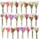 WGXX 24 Pack Dried Flowers for Vase Various Mini Bouquet Dried Small Wildflowers Natural Real Flowers Bulk for Crafts DIY Wedding Decor (24, Multicolor)