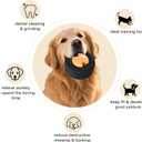 Treat Dispensing Dog Toys - Interactive Cognitive Dog Treat Toy, Rubber Chew Toy for Puppies & Small Dogs, Interactive Mental Stimulation, Enrichment Toys for Relieving Anxiety and Release Energy