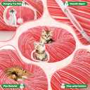 Soulchen Cat Tunnel with Christmas Tree Skirt, 35.8'' Cat Bed for Indoor with Hanging Ball, Xmas Festive Foldable Kitty Pipeline for Kittens Small Animal Christmas Decoration(Diagonal Stripes)