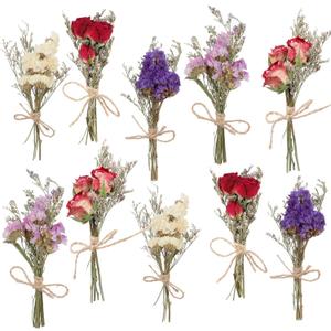 10 Pack Dried Flower Bouquets Mini Dried Flower with Stem Forget Me Not Dried Embossing Natural Flower Bundles Artificial Flower Dried Floral Arrangement for Vase DlY Wedding Decor (Forget Me Not)