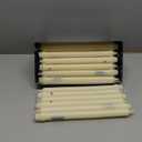 Colonial Candle Ivory Unscented 12 Inch Classic Candles