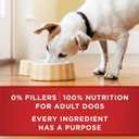 Purina ONE Classic Ground Chicken and Brown Rice, and Beef and Brown Rice Entrees Wet Dog Food Variety Pack - (Pack of 6) 13 oz. Cans (EXP 01/05/28)