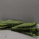 Fake Ferns - Set of 2 Artificial Fern,35 Leaves for Each Bouquet - Indoor/Outdoor Faux Boston Fake Fern Bush Plant for Home, Office, Garden Decoration.33Inch