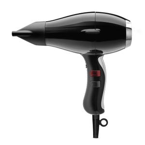 Elchim 3900 Healthy & Light Ionic Professional Dryers, Lightweight with 2 Concentrators Included, Multiple Color Options (Black/Silver)