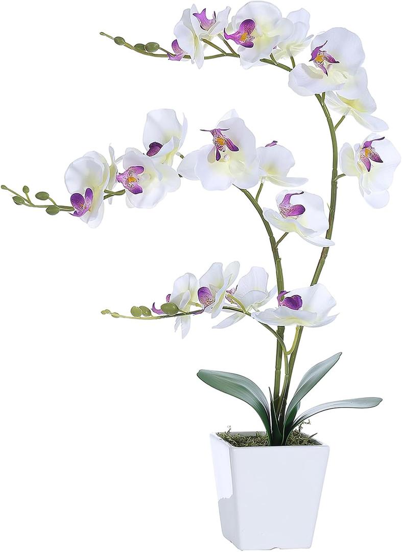 Faux Orchid in Vase Tall Artificial Orchid in Ceramic Vase Tall Silk Orchids with Stems Real Look Potted Fake Phalaenopsis Arrangement Centerpiece Table Decorations for Home Decor Indoor, White