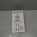 EVOTECH SCIENTIFIC Mini Human Skeleton Model for Anatomy, 17.7'' Full Body Human Skeleton Model with Movable Arms and Legs on Base for Medical Teaching Learning, Students Learning Education Tool