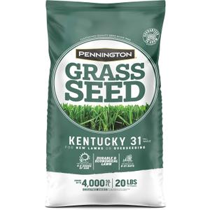 Pennington Kentucky 31 Tall Fescue Grass Seed 20 lb