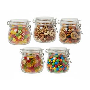 17oz Airtight Glass Jars with Clamp Lids, Small Food Storage Canisters Set of 5, Wire Clip Mason Jars for Canning, Pickling Spice, Herb