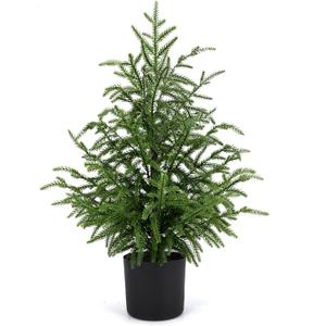 2FT Artificial Norfolk Pine Christmas Tree  Tabletop Faux Tree Unlit/Prelit with 50 LED Lights & 8-Function Battery Box, Pre-Assembled Holiday Decor for Home or Office (2FT-1Pack)