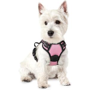 Rabbitgoo Dog Harness No Pull with 2 Leash Clips, Adjustable Soft Padded, Reflective Oxford No Choke Pet Vest with Easy Control Handle for Puppy, Pink, XS