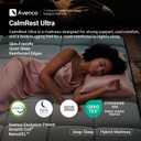 Avenco 10 Inch Twin Mattress, Twin Size Hybrid Mattress with Cooling Memory Foam and Smarts Coil Pocket Springs, Balanced Comfort & Enhanced Support, Mattresses in a Box, CertiPUR-US Certified