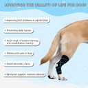 2 x Dog Knee Brace for Back Leg, ACL Support for Large Dogs, Adjustable Dog Leg Brace for Hind Leg Injuries, Canine Joint Wrap for Arthritis Recovery (L)