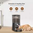 PETULTRA Automatic Cat Feeder: 4L Timed Cats Food Dispenser Programmable 1-6 Meal for Cat and Small Medium Dog- Auto Pet Feeder Easy to Set Up Dual Power Supply with Desiccant Bag| Detachable Washable