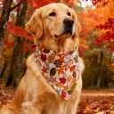 Fall Dog Bandanas - 2 Pack Halloween Thanksgiving Dog Bandana | Reversible Pumpkin and Leaf Pet Scarf | Premium Durable Fabric | Boys & Girls | Holiday Bandana for Small and Medium Dogs (Small)