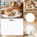 4 x 2026 Wall Calendar,Calendar 2026, January 2026 - December 2026, Wall Calendar Cat Kitten, 11" X 17" Opened,Full Page Months Thick & Sturdy Paper for Calendar Organizing & Planning