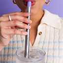 LifeStraw Sip Reusable Stainless Steel Water Filter Drinking Straw