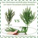 MEMOVAN Christmas Norfolk Pine Branches 18inch Artificial Green Pine Stem Real Touch Faux Cedar Pine Stem Lifelike Greenery Pines Picks Sprays for Vases DIY Flower Xmas Wreath Garland Craft Home Decor