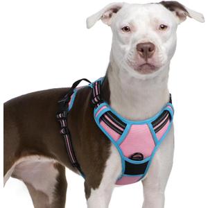 rabbitgoo Dog Harness No Pull with 2 Leash Clips, Adjustable Soft Padded, Reflective Oxford No Choke Pet Vest with Easy Control Handle for Large Dogs, Pink & Blue, XL